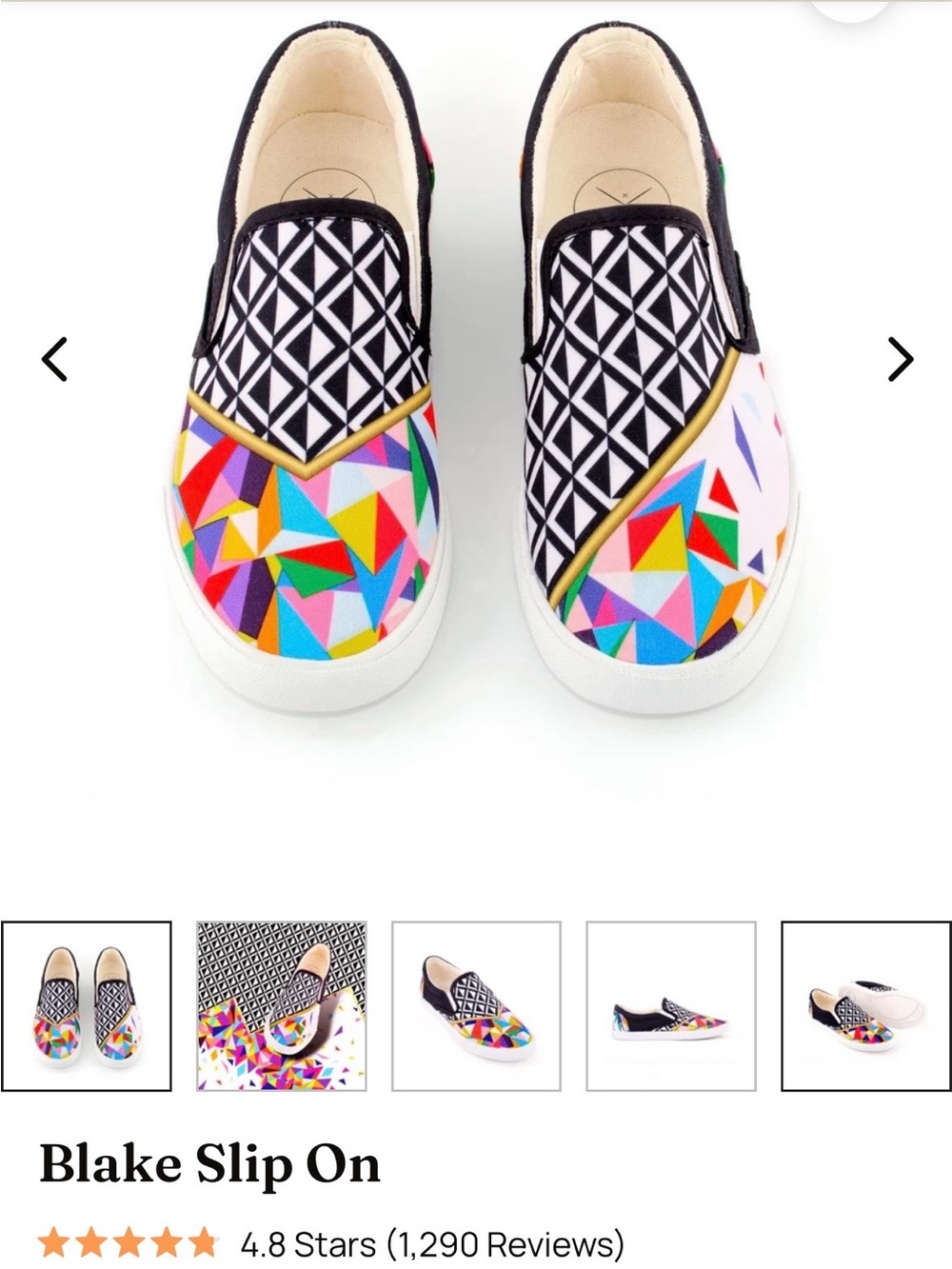 Rainbow Inkkas slip-ons